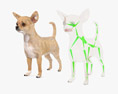 Chihuahua Low Poly Rigged Modelo 3D