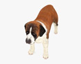 St Bernard Low Poly Rigged Animated 3d model