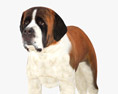 St Bernard Low Poly Rigged Animated 3Dモデル