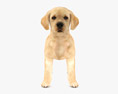 Labrador Retriever Puppy Low Poly Rigged Animated 3D модель