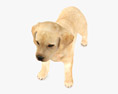 Labrador Retriever Puppy Low Poly Rigged Animated 3Dモデル