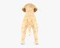 Labrador Retriever Puppy Low Poly Rigged Animated 3D 모델 