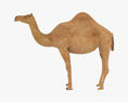 Сamel Dromedary Low Poly Rigged 3D-Modell