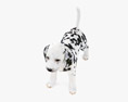 Dalmatian Puppy Low Poly Rigged 3D модель