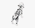 Dalmatian Puppy Low Poly Rigged 3d model
