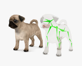 Pug Puppy Low Poly Rigged Modèle 3D