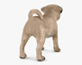 Pug Puppy Low Poly Rigged 3D-Modell