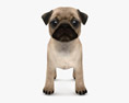 Pug Puppy Low Poly Rigged 3D-Modell