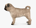 Pug Puppy Low Poly Rigged Modelo 3d