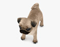 Pug Puppy Low Poly Rigged Modello 3D