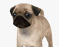 Pug Puppy Low Poly Rigged 3D модель