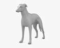 Greyhound Low Poly Rigged 3D модель