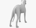 Greyhound Low Poly Rigged 3D模型