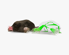 Star-Nosed Mole Low Poly Rigged Modelo 3d