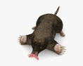 Star-Nosed Mole Low Poly Rigged Modelo 3D