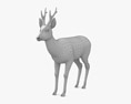 Roe Deer Low Poly Rigged 3D模型