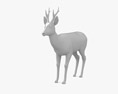 Roe Deer Low Poly Rigged 3Dモデル