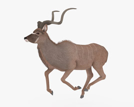 Greater Kudu Low Poly Rigged Animated 3D модель