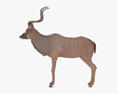 Greater Kudu Low Poly Rigged Animated 3D 모델 
