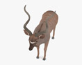 Greater Kudu Low Poly Rigged Animated Modelo 3D
