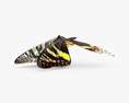 Madagascan Sunset Moth Low Poly Rigged Animated 3D模型