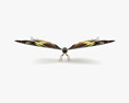 Madagascan Sunset Moth Low Poly Rigged Animated Modello 3D