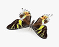 Madagascan Sunset Moth Low Poly Rigged Animated Modelo 3D