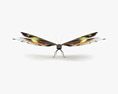 Madagascan Sunset Moth Low Poly Rigged Animated 3D 모델 