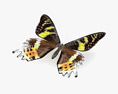 Madagascan Sunset Moth Low Poly Rigged 3D модель