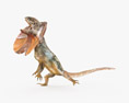 Frilled lizard Low Poly Rigged Animated Modelo 3d