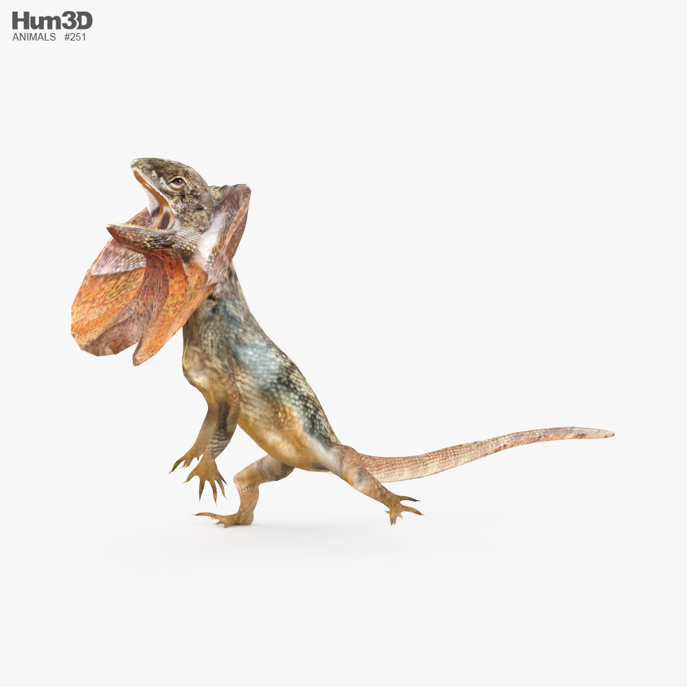Frilled lizard Low Poly Rigged Animated 3D-Modell