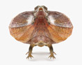 Frilled lizard Low Poly Rigged Animated 3D 모델 
