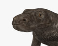 Dragon de Komodo Modèle 3d