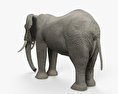 African Elephant 3d model