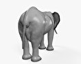 非洲象 3D模型