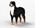 伯恩山犬 3D模型