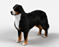 Berner Sennenhund 3D-Modell