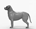 Berner Sennenhund 3D-Modell