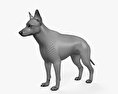 Cane da pastore tedesco Modello 3D