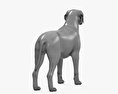 Labrador Retriever 3D-Modell