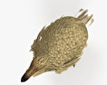 渡渡鸟 3D模型
