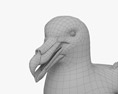 Petrel gigante antártico Modelo 3D