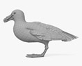 Riesensturmvogel 3D-Modell