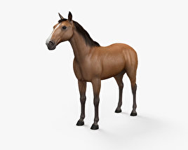 Pferd 3D-Modell