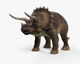 Triceratops Modèle 3D