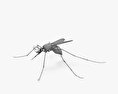 Mosquito Modelo 3d