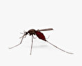Mosquito Modelo 3D