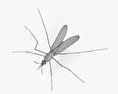 Zanzara Modello 3D