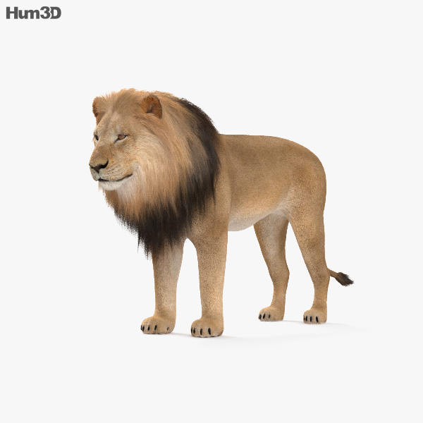 狮 3D模型