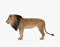 Lion 3d model